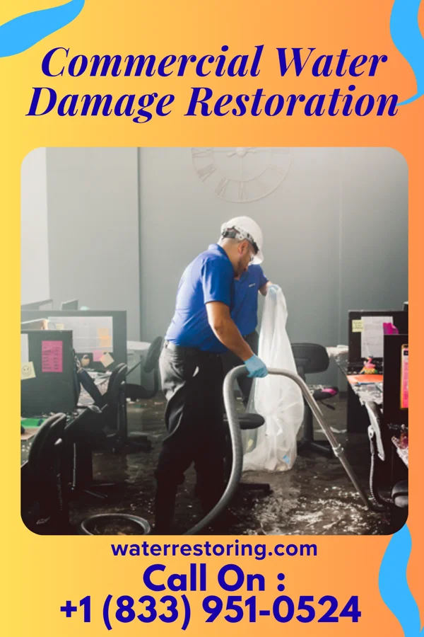 Commercial Water Damage Restoration in Burtons Bridge, IL