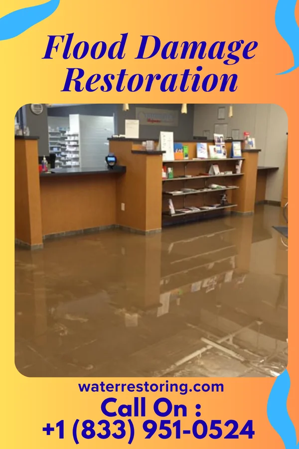 Flood Damage Restoration in Burtons Bridge, IL