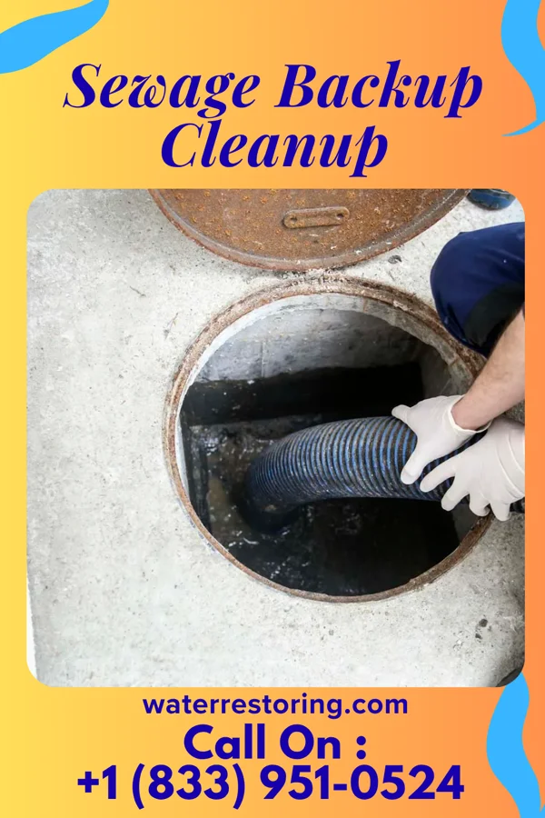 Sewage Backup Cleanup in Burtons Bridge, IL